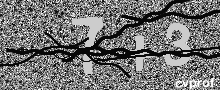 Captcha Kép